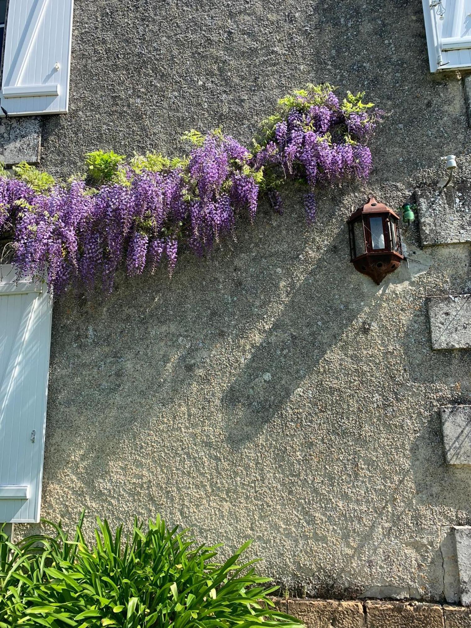 NO5 Chambre D'hotes Courcome Exterior foto